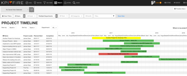 Project Portfolio gantt view