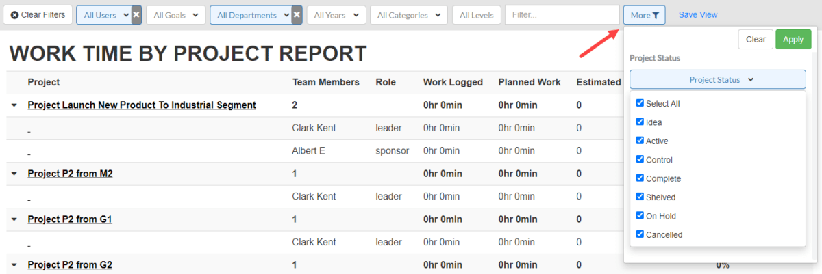Work Time by Project/Team Member Report