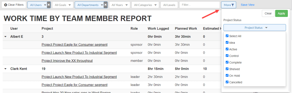 Work Time by Project/Team Member Report
