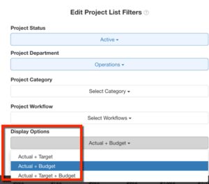 Project Filters Display Options Actual Target Budget